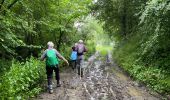 Percorso Marcia Houyet - Hour - Photo 19