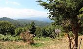 Tour Wandern Laroque-des-Albères - Col-Ullat Pic-aureille_Terrain_backup - Photo 2