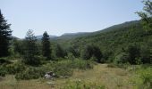 Randonnée A pied Gioia dei Marsi - Passo del Diavolo - Lecce dei Marsi - Photo 4