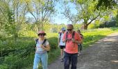 Trail  Yerres - BM boucle Réveillon Yerres  - Photo 12
