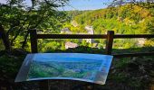 Randonnée Marche Chimay - Balade de Lompret à Aublain - Photo 7