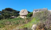 Randonnée Marche Perros-Guirec - LE SENTIER DES DOUANIERS  - Photo 19