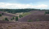 Tour Zu Fuß Rozendaal - Dwars door Gelderland (14) - Photo 1