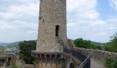 Tour Zu Fuß Weinheim - Rundwanderweg Weinheim Wachenburg 3: Taubenberg-Weg - Photo 7