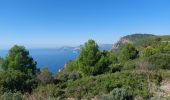 Randonnée Marche La Ciotat - st fretouse le semaphore belvédère la  route des crêtes  - Photo 1