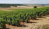 Randonnée Marche Montgueux - Mongueux: Boucle en Champagne - Photo 2