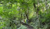 Trail Walking Dilbeek - #230714 - Dilbeek, Kattenberg, Rés. Nat. Wolfsputten - Photo 3