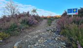 Trail Walking Santa Colomba de Somoza - vers El Acebo - Photo 15