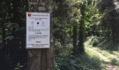 Trail On foot San Giuliano Terme - 