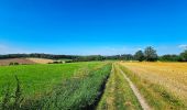 Tour Wandern Onhaye - Balade de Sommière à Weillen - Photo 2