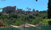 Excursión Senderismo Esparron - Esparron les Pallières  Saint Martin 12 juin 2019 - Photo 12