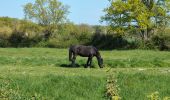 Trail Walking Sonzay - Sonzay - PRs - 13.6km 125m 3h10 (1h00) - 2025 04 09 - Photo 4