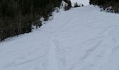 Tocht Sneeuwschoenen Pralognan-la-Vanoise - Pralognan: Fontanettes par la cascade de la Faîche - Photo 10