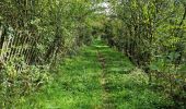 Randonnée Marche Chauffour-lès-Étréchy - Chauffour-lès-Etréchy Coteau des Verts Galants - Photo 4