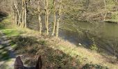 Trail Horseback riding Florenville - Les Epioux  - Photo 9