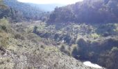 Excursión Senderismo Pignans - piste du Fedon - Photo 1