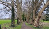 Tocht Stappen Luik - Giboulées à Colonster  - Photo 11