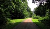 Percorso Marcia Haramont - en forêt de Retz_79_08_2019_vers Taillefontaine et Retheuil par les lisières - Photo 20
