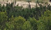 Trail Walking Moliets-et-Maâ - balade dans les pins avec vue sur dune - Photo 4