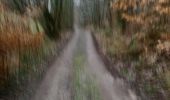 Trail Running Wanze - around my place - Photo 1