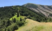 Tour Wandern Torla-Ordesa - Mont Pélopin 13 km - Photo 6