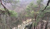Trail On foot Nandrin - Les rochettes Bois des dames - Photo 8