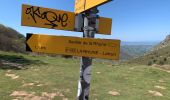 Tour Wandern Ascain - Col de la Rhune - Photo 3