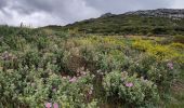 Trail Walking Aureille - Tour des Opies retour les Barres rouges - Photo 9