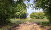 Excursión Senderismo Orrouy - en Forêt de Compiègne_41_autour des Petits Monts - Photo 16