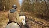 Trail Horseback riding Viroinval - Oignies grand tour - Photo 4