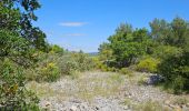 Tour Wandern Ollioules - Châteauvallon - Ollioules - Photo 16