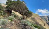 Tocht Stappen Valverde - Camino de Las Playas (El Hierro) - Photo 5