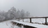 Percorso Marcia Spa - berinzenne entre fagne et bois dans le brouillard - Photo 18