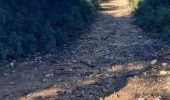 Tocht Stappen Le Castellet - La Roche Redonne - Les Barres de Castillon  - Photo 2