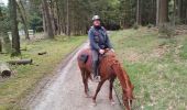 Trail Horseback riding Lierneux - C A 2024 Bra - Photo 1