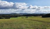 Tour Zu Fuß Gladenbach - Sebastian-Kneipp-Weg - Photo 5