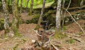 Tocht Stappen Saint-Julien - Le tour des jasses : Bourdils Chavardes Landres Bramefan - Photo 12