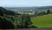 Tocht Te voet Waldkirch - Bergbauwanderweg Silbersteig Rundweg 1 - Photo 3