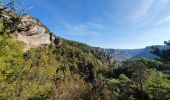 Trail Walking Saint-Pierre-des-Tripiers - Boucle Cassagnes - Gorges Jonte - Photo 3