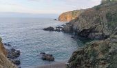 Trail Walking Argelès-sur-Mer - raccou - plage de l'ouillet par terre, retour par sentier littoral - Photo 13