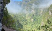 Trail Walking Santana - Levada  - Photo 1