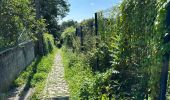 Tocht Stappen Luik - Liège sainte Walburge Buren sentier coteau terril 17,2 km - Photo 17