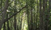 Randonnée Marche Puy-Saint-Vincent - Le Villaret La combe noire - Photo 13