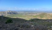 Randonnée Marche Torroella de Montgrí - Castel de mont gris variante - Photo 11