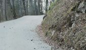 Trail Walking Cognin-les-Gorges - Les gorges du Nan - Photo 19