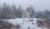 Trail Walking Spa - entre fagne et bois - version courte - Photo 5