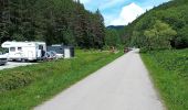 Excursión A pie okres Ružomberok - Naučný chodník Kalameny - Liptovský hrad - Photo 10