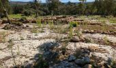 Excursión Senderismo Vallabrix - Vallabrix et le site de Massargues  - Photo 4