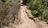 Randonnée A pied Ajaccio - Sentier des Crêtes Ajaccio et Grotte N - Photo 20