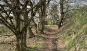 Excursión Senderismo Olne - Forêt par Navette - Photo 2